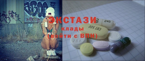 ECSTASY Бородино